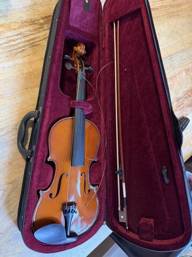 Hofner violin moulded - hofner,
