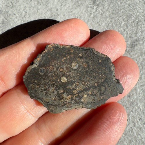 Meteorite chondrite ck5 nwa - meteorite,