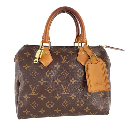 Sac main louis vuitton - sac,
