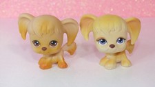 LOT authentic littlest LPS