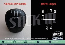 Autocollant Sticker Renovation Grille Pastille Pommeau pour Renault Clio 16S 16V