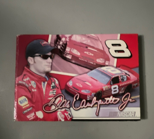 Martins designs nascar dale - designs,