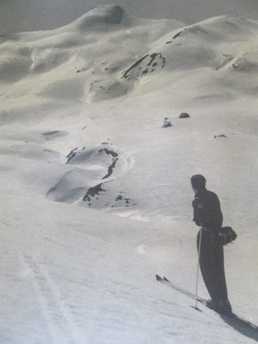 Affiche thème ski - affiche, ski,