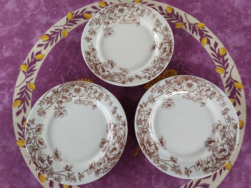 Assiettes plates porcelaine - assiettes,
