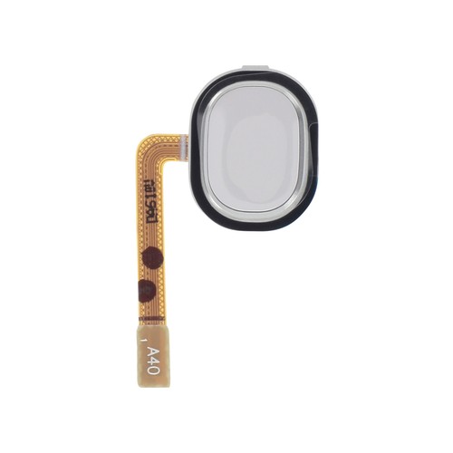 Lecteur empreintes blanc - lecteur,