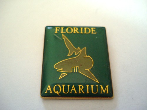 Pins floride aquarium requin - pins,