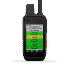 COLLIER D'ENTRAÎNEMENT