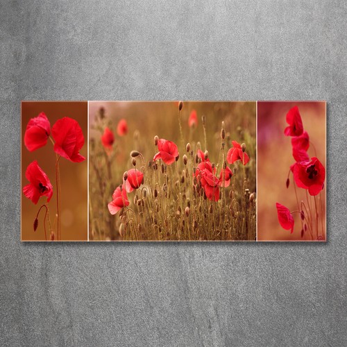 Tulup image sur verre - tulup,