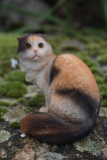NA0815     FIGURINE  STATUETTE CHAT SCOTTISH FOLD  MARRON  SPA DERNIER