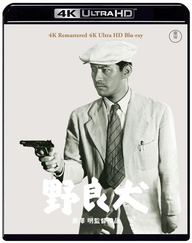 Toho stray dog - stray, remaster