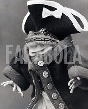 Photo de presse vintage