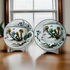 Villeroy & Boch Botanica Cup &