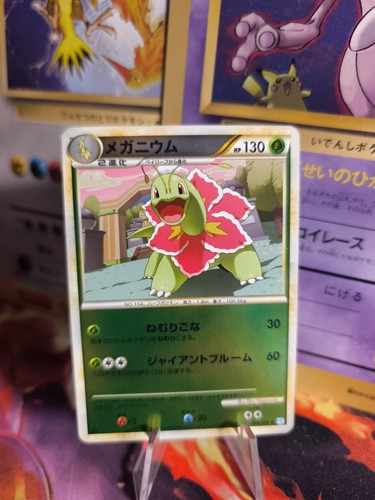 Carte pokemon card - card, holo