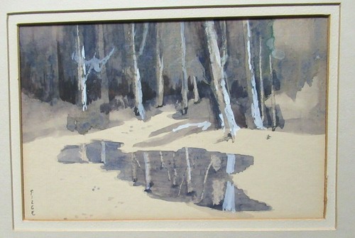 Lorraine fiege snow forest - snow,