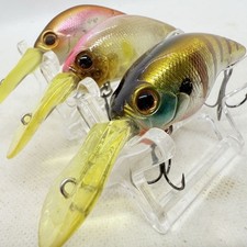 EVERGREEN e WILDHUNCH Cbait Set of 3