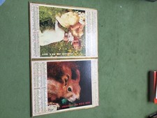 CALENDRIER ALMANACH PTT 1977