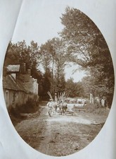 CARRIOLE & VACHES,photographie ancienne, ferme, paysan, fermier, campagne,vaches