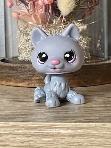 Petshop husky chien - 🌺🌺petshop,