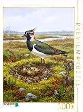 CALVENDO Puzzle Kiebitz -