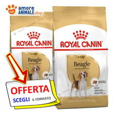 Royal Canin Chien → Adult