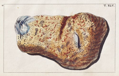 Pierre lave - pierre,