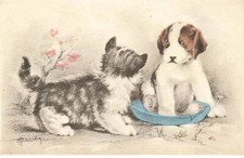 CHAT #FG35305 CHATS CAT KATZE