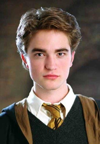 Harry potter cravate - potter,