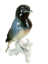 Ancienne Porcelaine Allemande