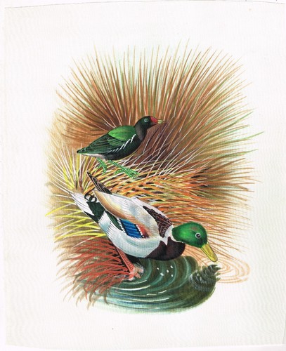 Peinture miniature canard - peinture,