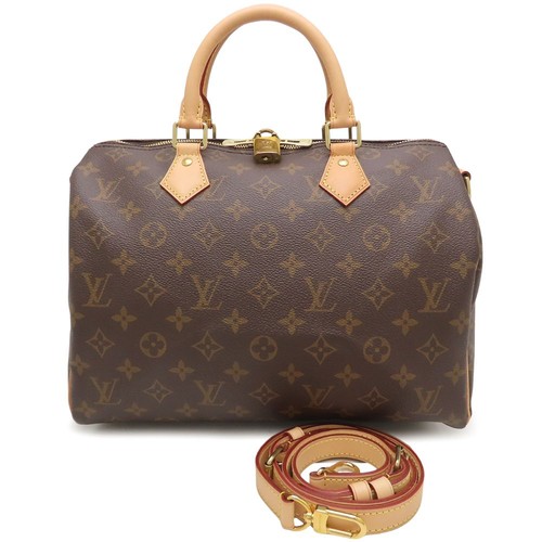 Sac main louis vuitton - sac,