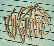 N - lot 27 clous anciens en fer forgé de 15 à 23 cm