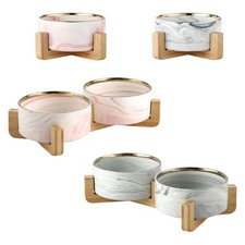 Chat chien bol plat avec