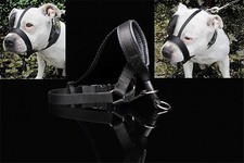 Halti Museau Museau Américain Pit Bull Terrier Staffordshire Doberman Dogo