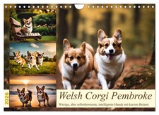 Welsh Corgi Pembroke (Calendrier mural 2026 DIN A4 horizontal), CALVENDO calendr