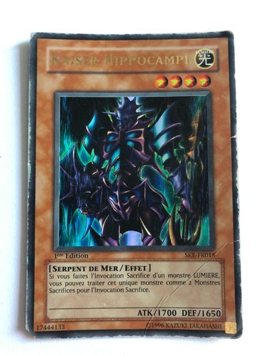 Kaiser hippocampe ske - hippocampe, ske-fr015