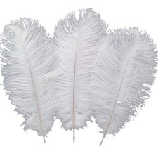 Lot de 10 plumes d’autruche