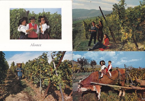 Lot cartes postales - lot, de