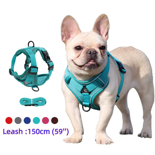 Harnais chien anti traction - harnais, anti-traction