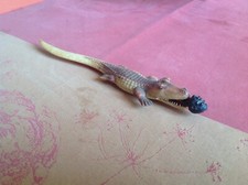 Rare, Coupe papier ancien Celluloïd, Crocodile et tête d'homme, 1910/20 art déco