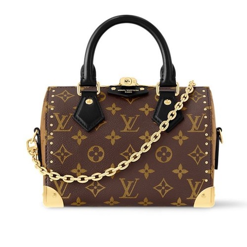 Louis vuitton speedy - louis, trunk
