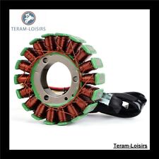 Stator pour KTM 58439004000