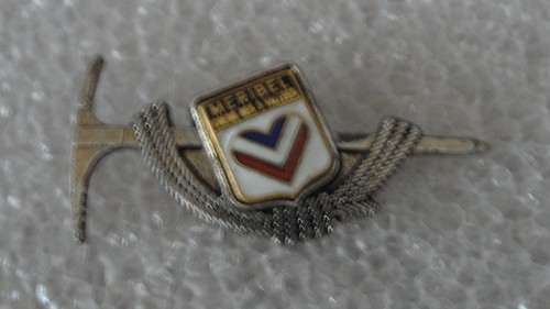 Pin neige montagne ski ville - montagne,