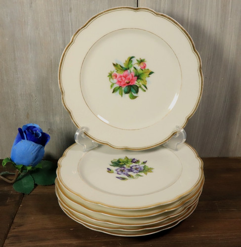 Lot assiettes en - 6,