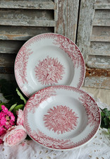 2 ANCIENNES ASSIETTES CREUSES TERRE DE FER JARDINIERE ST AMAND