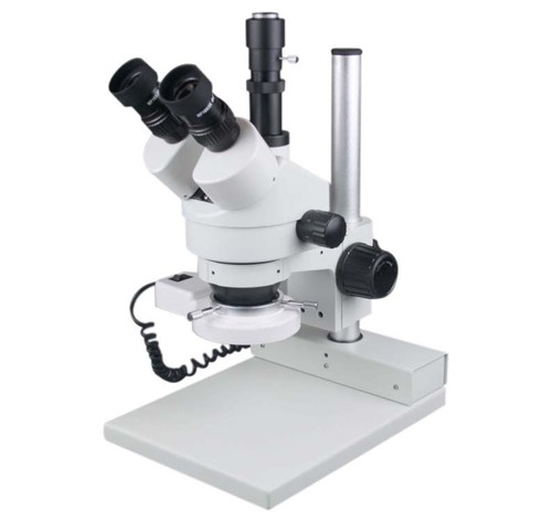 Microscope montre - de,