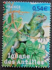 Timbre - FRANCE - Iguane des Antilles  - Neuf ** - YT4033 - 2007