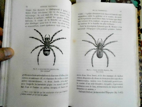 Médecine xixe textes - xixe,