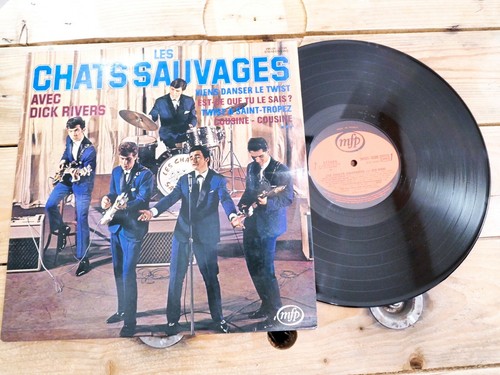 Les chats sauvages avec - sauvages, dick