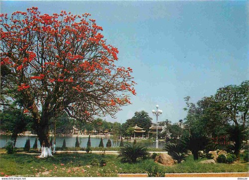 Carte postale vietnam - carte,