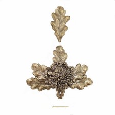 Feuilles de Laurier Couverture